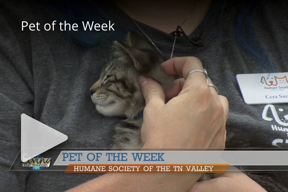 Pet of the week: April