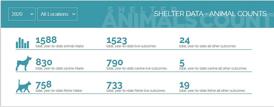 statistics from 2020
