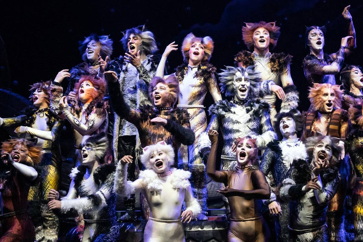 We Were At CATS!
