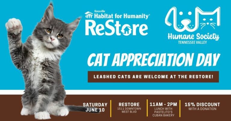 Cat Appreciation Day at the ReStore
