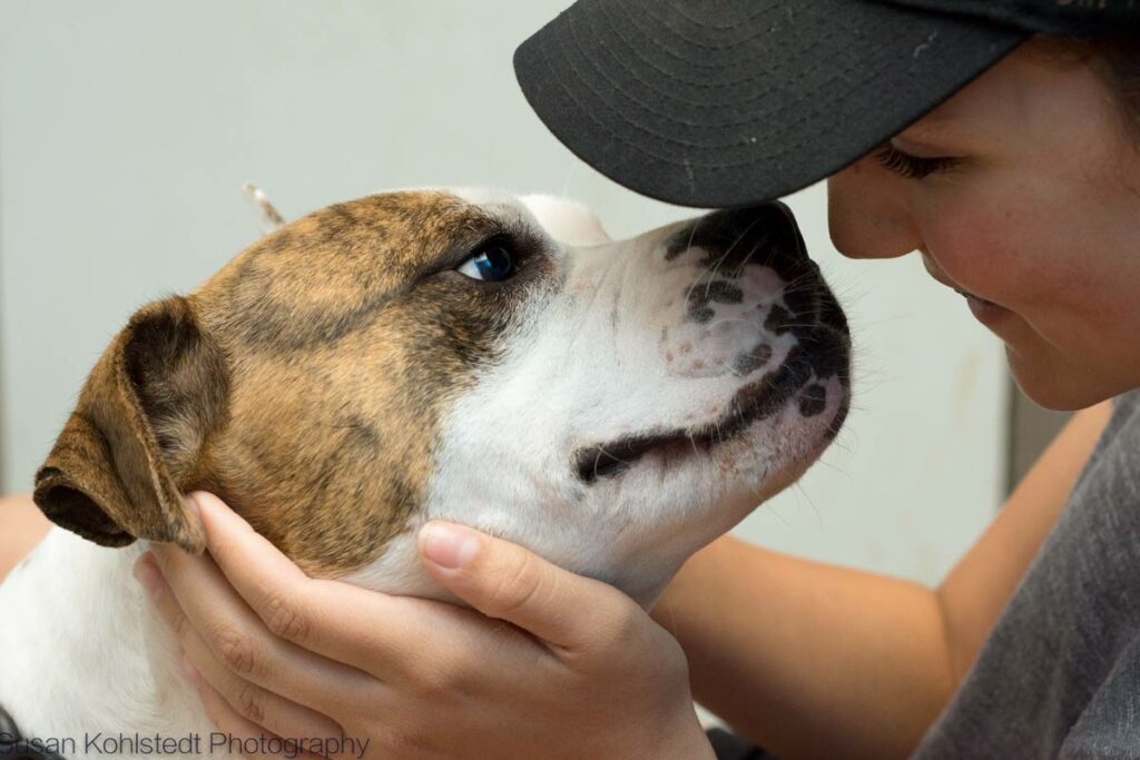 cute dog touches noses with young woman in baseball cap