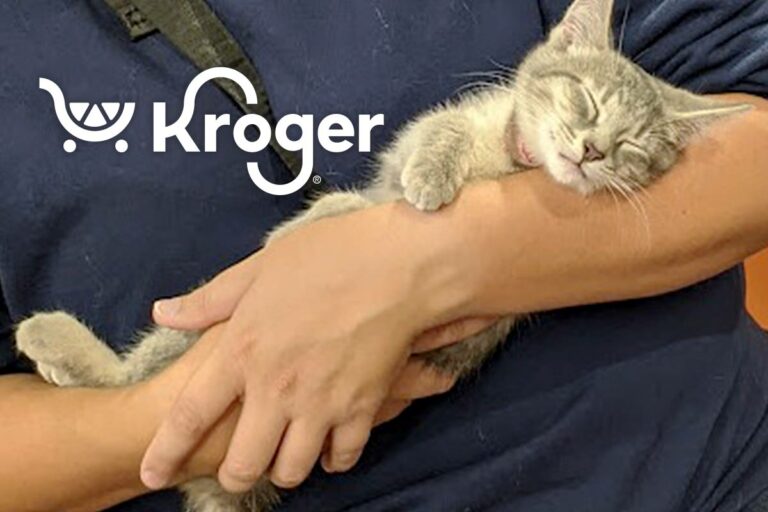 A sleeping kitten held in arms with a kroger logo