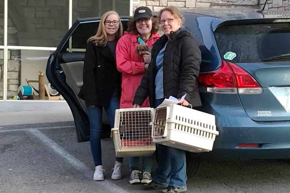 brown and white dog touches noses with a woman in a baseball cap